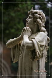 Cimitero Comunale Monumentale Campo Verano (106)