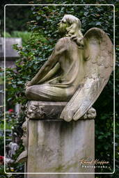 Cementerio Comunal Monumental Campo Verano (116)