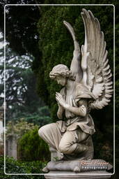 Cimitero Comunale Monumentale Campo Verano (120)