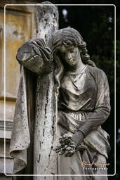 Cimitero Comunale Monumentale Campo Verano (125)