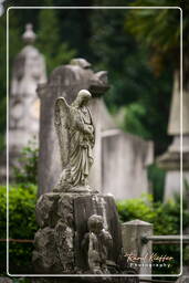 Cimitero Comunale Monumentale Campo Verano (136)