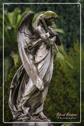 Cimitero Comunale Monumentale Campo Verano (140)