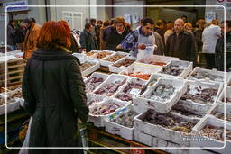 Centro Agroalimentare Roma (10)