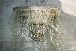Fontana dell'Acqua Paola (28)
