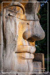 Fountain of the Goddess Rome (67)