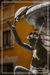 Fontana delle Tartarughe (13)