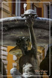 Fontaine des Tortues (15)