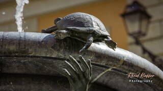 Fontaine des Tortues, Rome, Latium, Italie