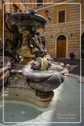 Fountain of the Tortoises (31)