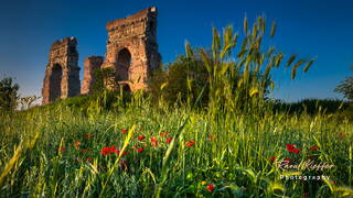 Parco degli Acquedotti, Rome, Lazio, Italy