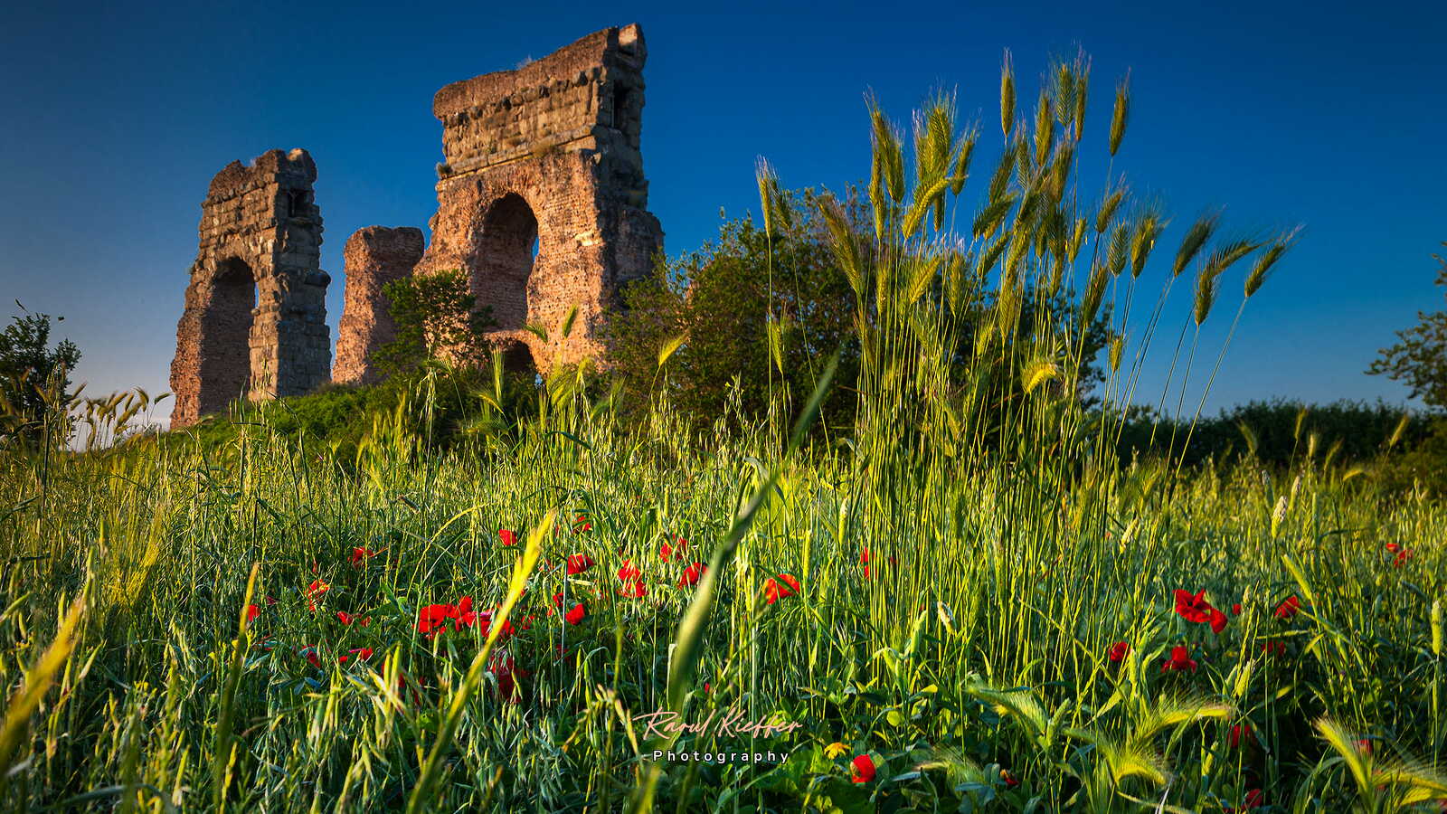 Parco degli Acquedotti
