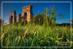 Parc des Aqueducs (102)