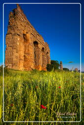 Parque dos Aquedutos (108)