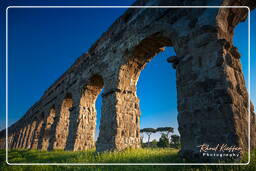 Parc des Aqueducs (164)