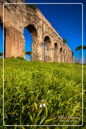 Parco degli Acquedotti (200)