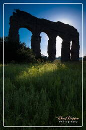 Parco degli Acquedotti (262)