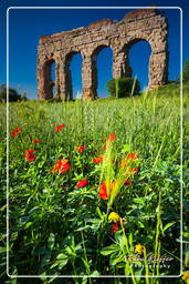 Parque dos Aquedutos (276)