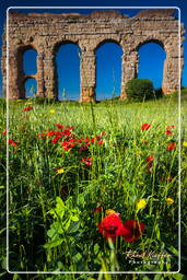 Parque dos Aquedutos (282)