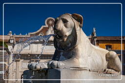 Piazza del Popolo (7)