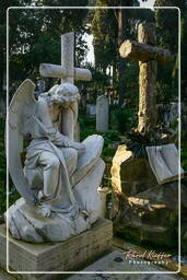 Cimitero Acattolico (1)