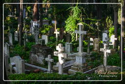 Cimitero Acattolico (21)