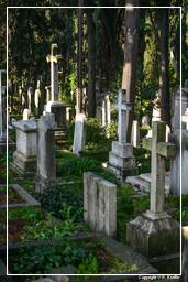 Cimitero Acattolico (25)