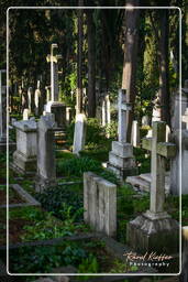 Cimetière Protestant (25)