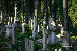 Cimetière Protestant (26)