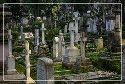 Cimitero Acattolico (38)