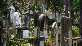 Cimetière Protestant, Rome, Latium, Italie