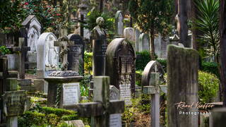 Cimitero Acattolico (39)