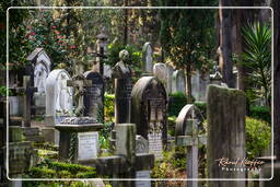 Cementerio Protestante (39)