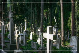 Cementerio Protestante (41)