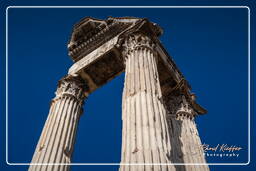 Forum Romanum (81)