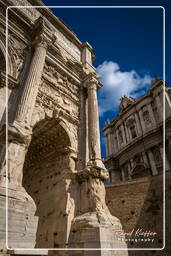 Foro Romano (86)