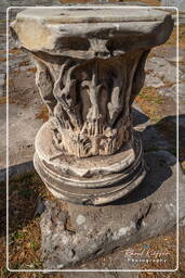 Foro Romano (88)