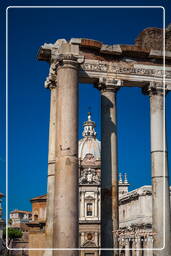 Foro Romano (98)