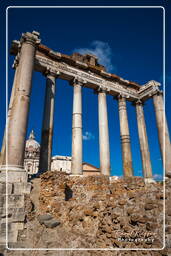 Foro Romano (99)