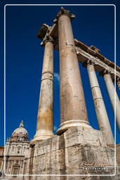 Forum Romanum (100)