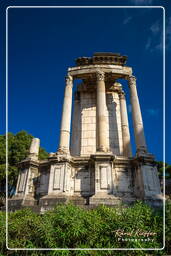 Forum Romanum (117)