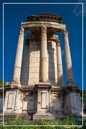 Forum Romain (118)