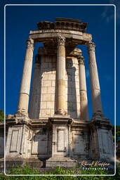 Foro Romano (118)