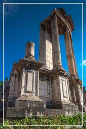 Forum Romanum (119)