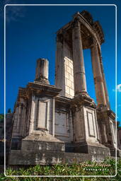 Forum Romanum (119)