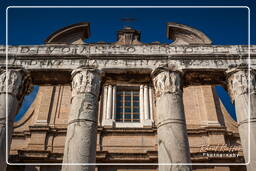 Forum Romanum (120)