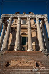 Forum Romanum (121)