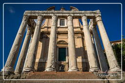 Roman Forum (122)