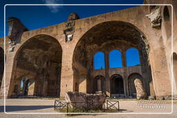 Forum Romanum (124)