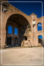 Foro Romano (125)