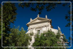 Forum Romanum (126)